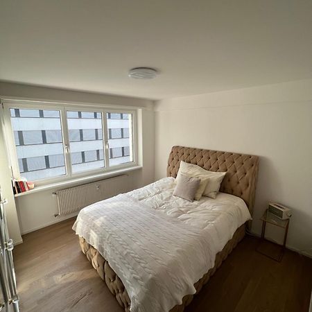 Best Located & Fully Equipped Apartment At Basel Sbb Main Station מראה חיצוני תמונה