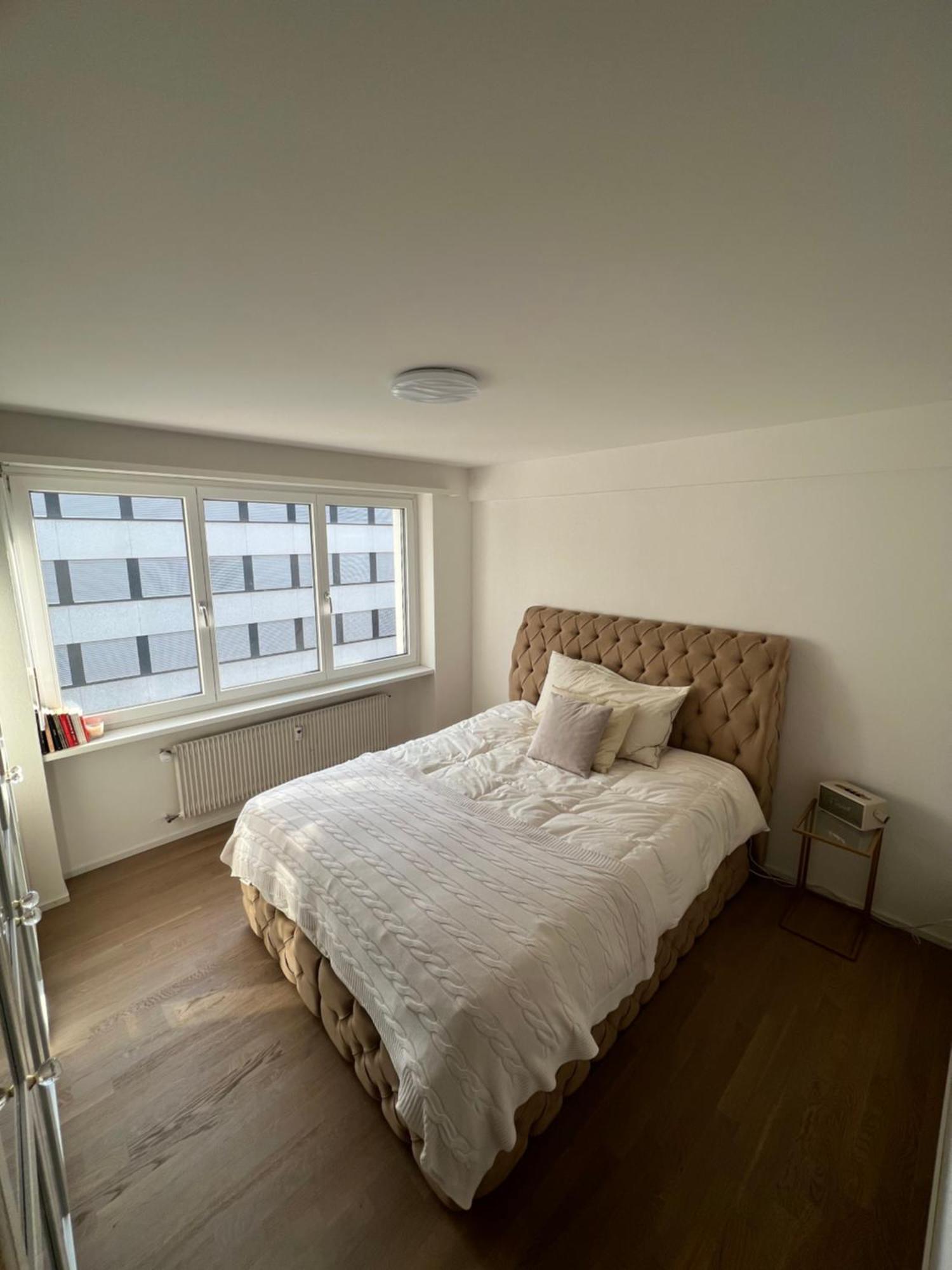 Best Located & Fully Equipped Apartment At Basel Sbb Main Station מראה חיצוני תמונה